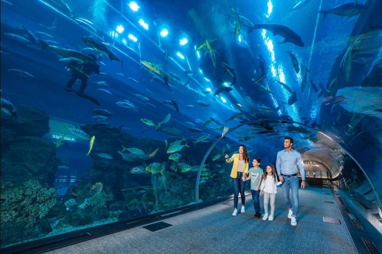 Dubai Aquarium & Underwater Zoo Ticket Price