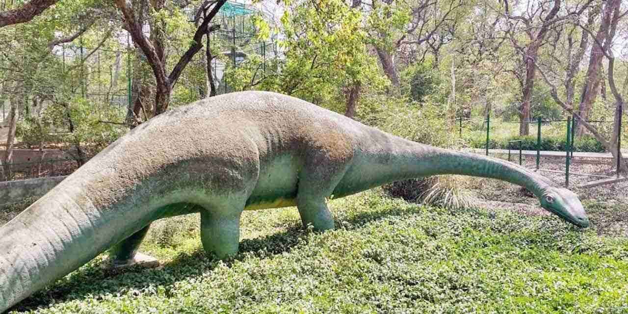 Kanpur Zoo Ticket Price