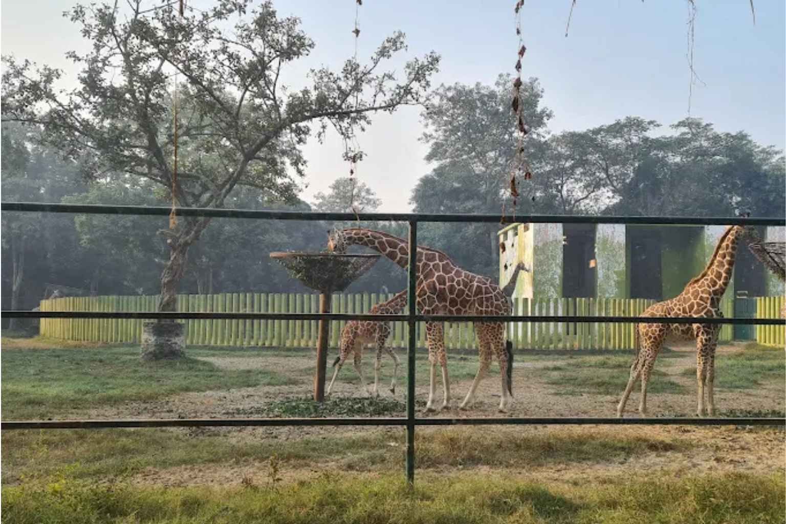 Patna Zoo Ticket Price