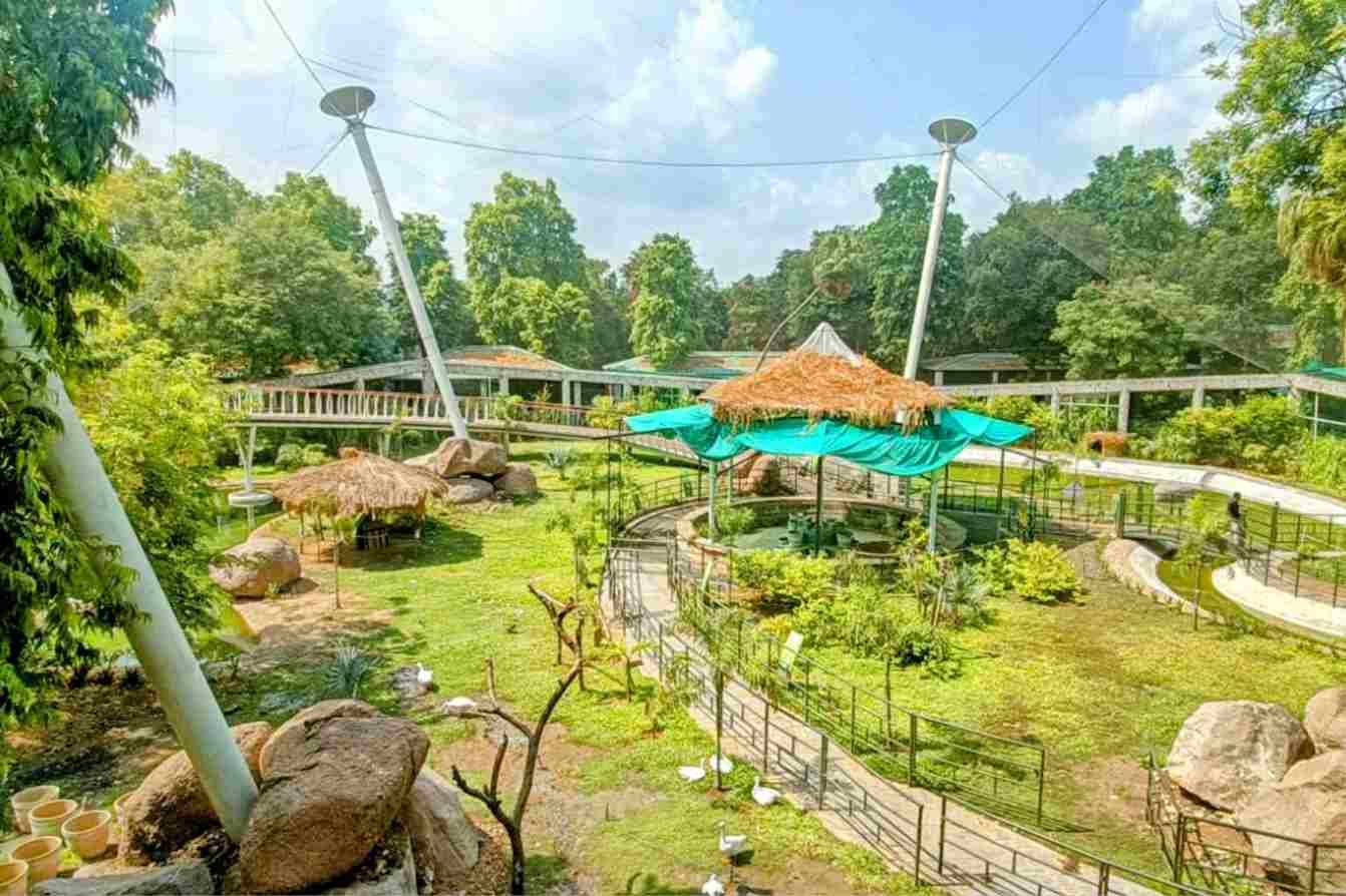 Sayaji Baug Zoo Ticket Price