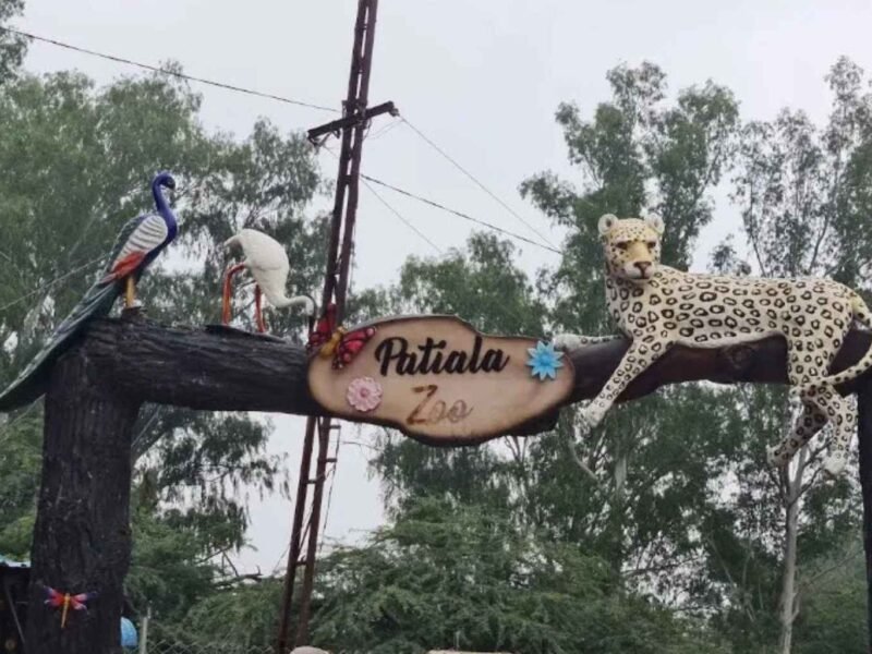 Patiala Zoo Ticket Price