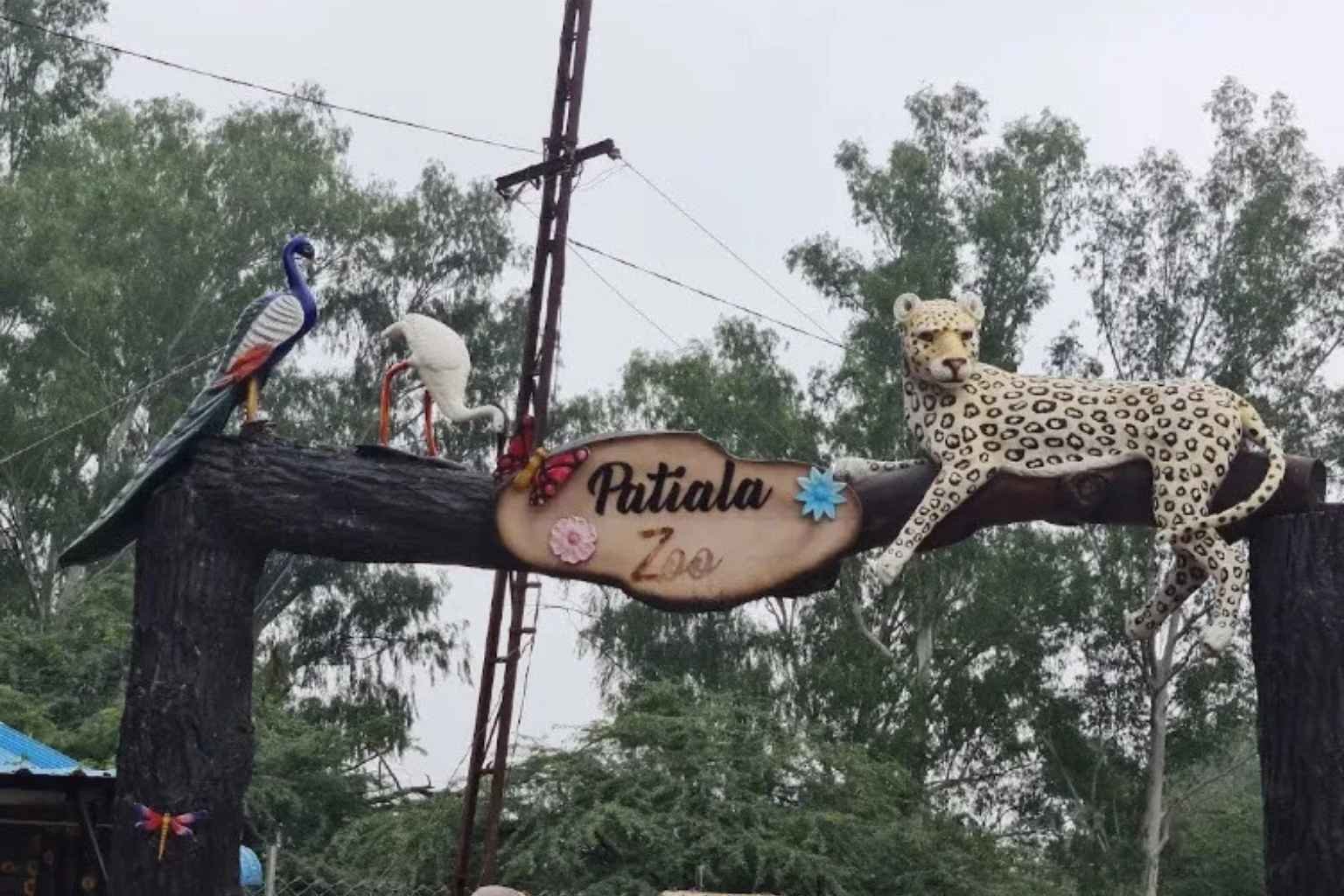 Patiala Zoo Ticket Price